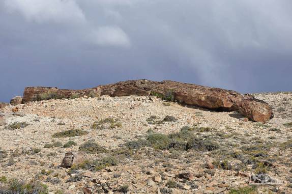Antigas árvores com 150 milhões de anos de idade transformadas em pedra, no Monumento Natural Bosques Petrificados, região de Caleta Olivia, no sul da Argentina